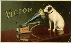 Dog Looking into Victor Phonograph Postcard