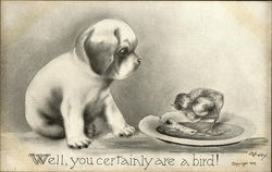 Puppy Looking at a Bird Eating from His Plate Dogs Postcard Postcard Postcard
