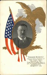 Theodore Roosevelt Postcard