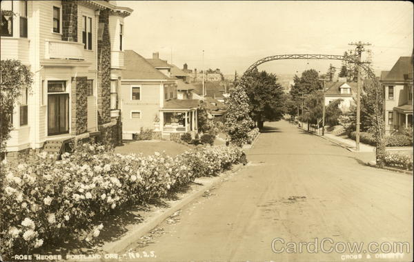 Rose Hedges Portland Oregon