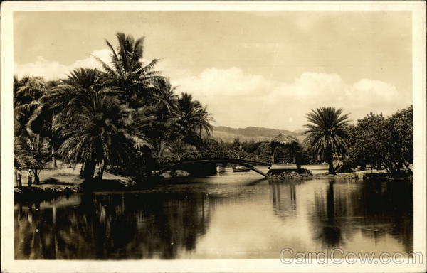 Bridge over a Pond in Hawaii