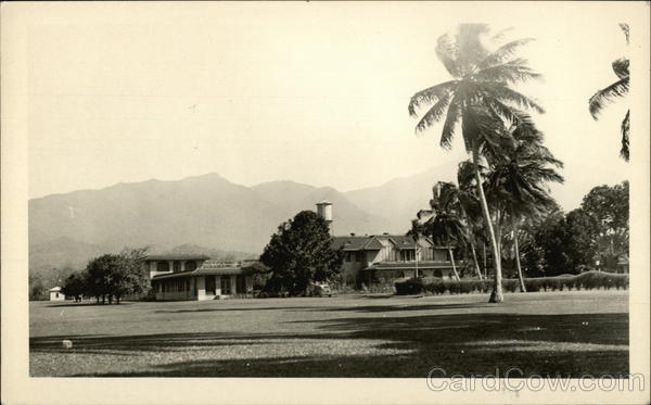 Farm or Plantation Hawaii