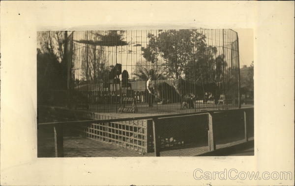 Luna Park Zoo Lincoln Heights California