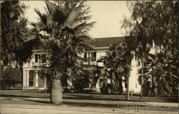 Large Palm Trees in Front of a House Los Angeles California