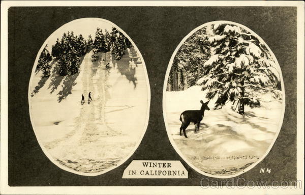 Two Winter Snow Scenes - Skiers and Deer California