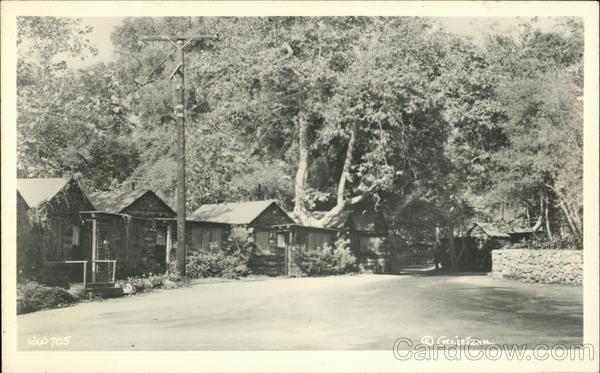 Cabins in the woods California G. Watson