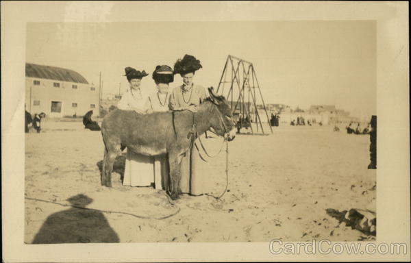 Women with Donkey on Beach Los Angeles California