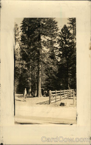 Picnic grounds near the horse paddock at Happy Isles Yosemite National Park California