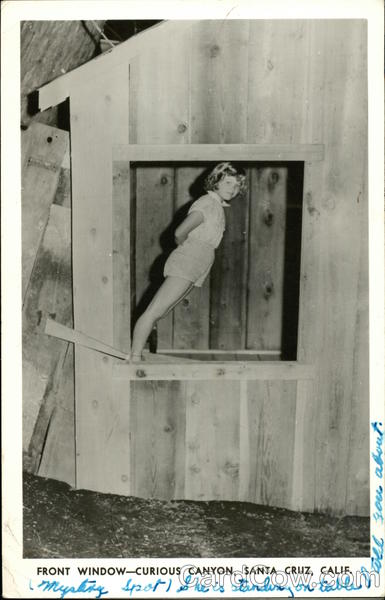 Curious Canyon - Front Window Santa Cruz California