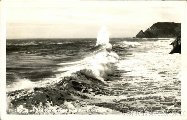 Surf and Heceta Head from Sea Lion Caves Oregon