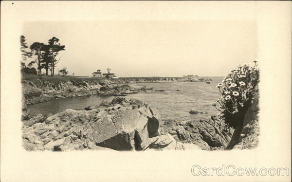 Rocky Beach Along a Coastline California