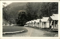 Cabins at Sol Duc Hot Springs Postcard