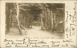 Shell Road Postcard