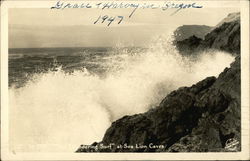 The Surf at Sea Lion Caves Florence, OR Postcard Postcard Postcard