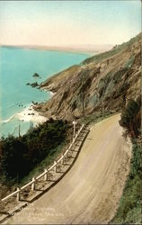 On the Redwood Highway - Tinted Photo Postcard