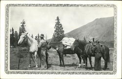Pack Horses and Men Fort Bridger, WY Postcard Postcard Postcard