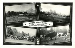Moose Head Ranch Postcard
