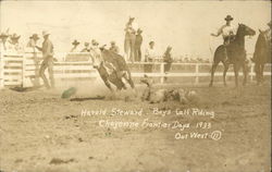 Harold Steward - Boys Calf Riding - Cheyenne Frontier Days 1933 - Out West Postcard