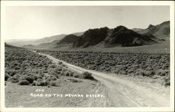 Road on the Nevada Desert Postcard Postcard Postcard