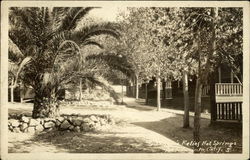 Gilman's Relief Hot Springs Postcard