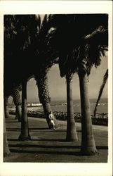 Woman Leaning on a Palm Tree Watching the Ocean Postcard