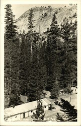 Horseback riders in a Camp located at Yosemite National Park Postcard