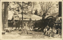 Camp Curry Studio and Soda Fountain Postcard