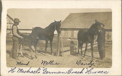 Two Men with Two Horses and a Foal Postcard