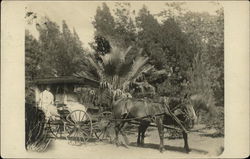 People Riding in a Cart Pulled by Horses, Prado Postcard