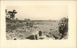 Stock #449244 Thumbnail