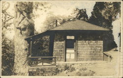 Cabin Atop Mt. Wilson Postcard