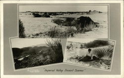 Imperial Valley Desert Scenes Postcard
