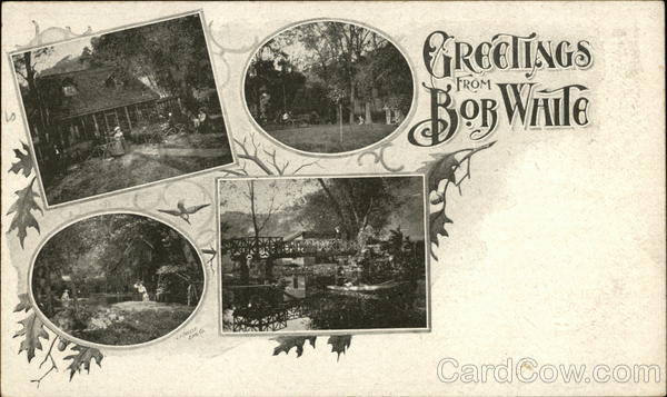 Greetings from Bor White La Crosse Wisconsin