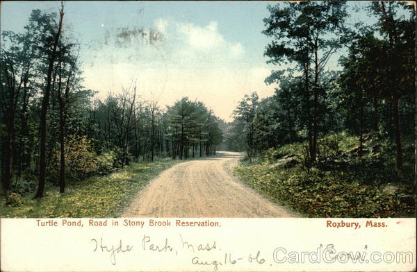 Turtle Pond, Road in Stony Brook Reservation Roxbury Massachusetts