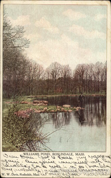 Williams Pond Roslindale Massachusetts