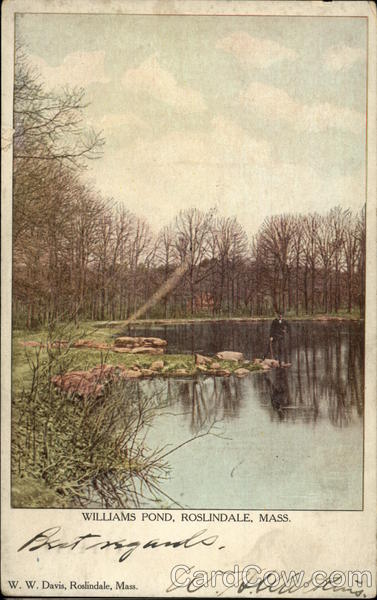 Williams Pond Roslindale Massachusetts