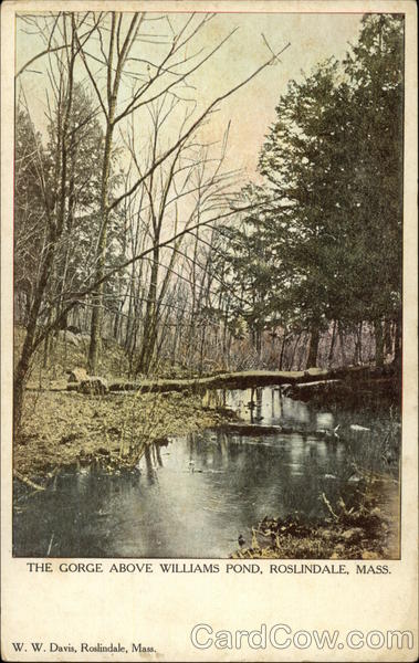 The Gorge Above Williams Pond Roslindale Massachusetts