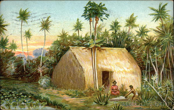 Natives at Home in Hawaii Honolulu