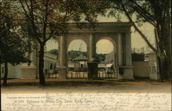 Entrance to White City Postcard