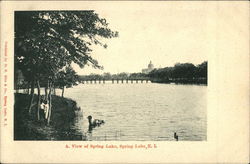 View of Spring Lake Postcard