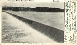 The Dam in Summer Postcard