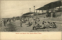 Shelter and Beach View Postcard