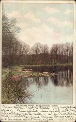 Williams Pond Roslindale, MA Postcard Postcard Postcard