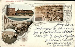 Views of National Stock Yards East St. Louis, IL Postcard Postcard Postcard