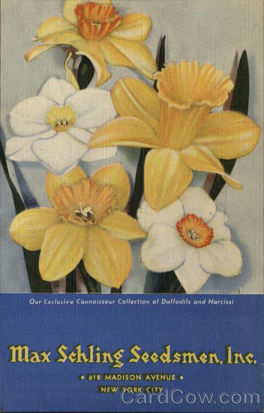 Max Schling Seedsmen Inc Advertising