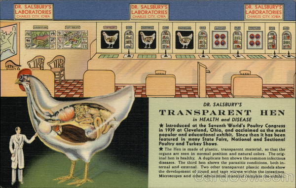 Dr. Salisbury's Transparent Hen Charles City Iowa Advertising