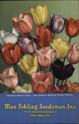 Max Schling Seedsmen Inc Postcard