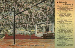 Wistaria Vine Gardens Postcard