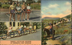 Guenther's Murrieta Mineral Hot Springs Postcard