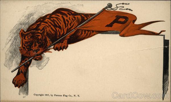 Princeton University Tiger School Pennants